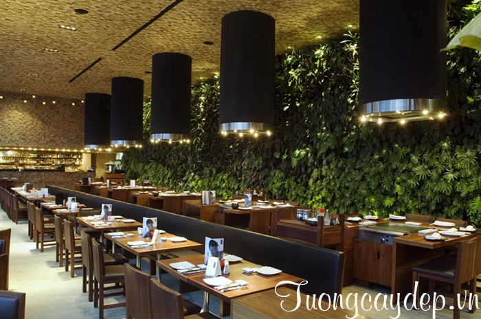 tường cây nhà hàng, tường cây khách sạn Hà Nội