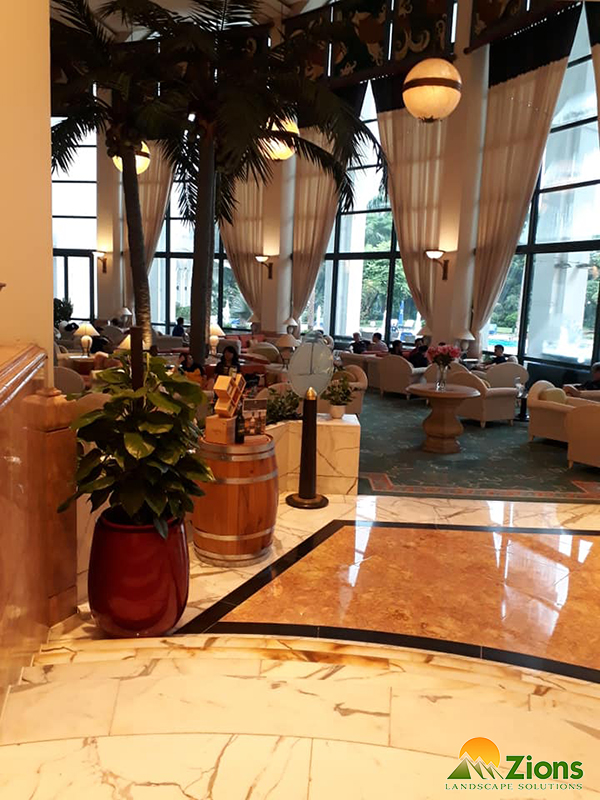 Cung cấp cây nội thất cho Khách sạn tại Hà Nội