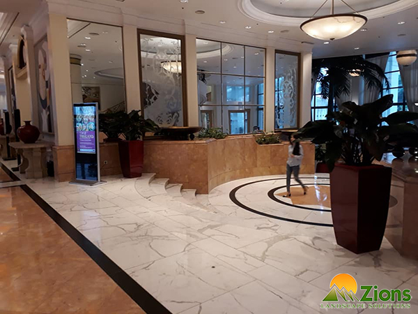 Cung cấp cây nội thất cho khách sạn