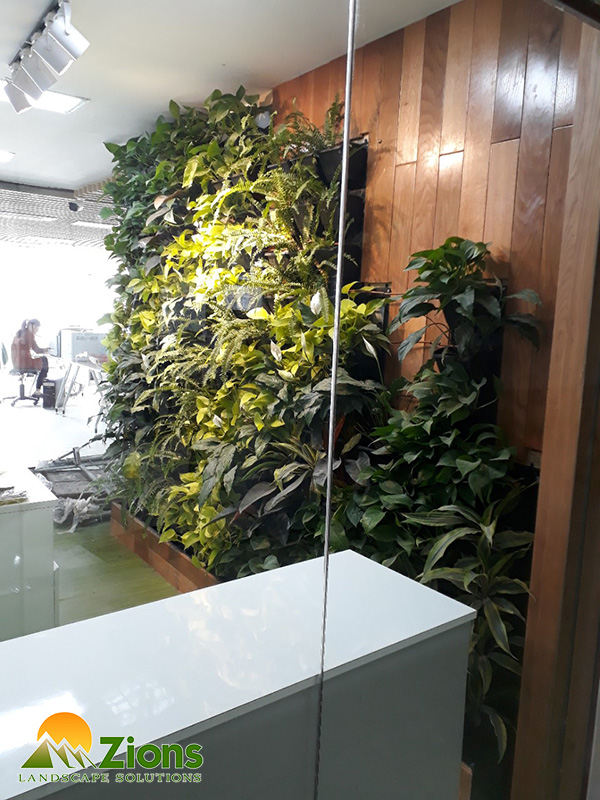 Thi công tường cây cho văn phòng tại Hà nội