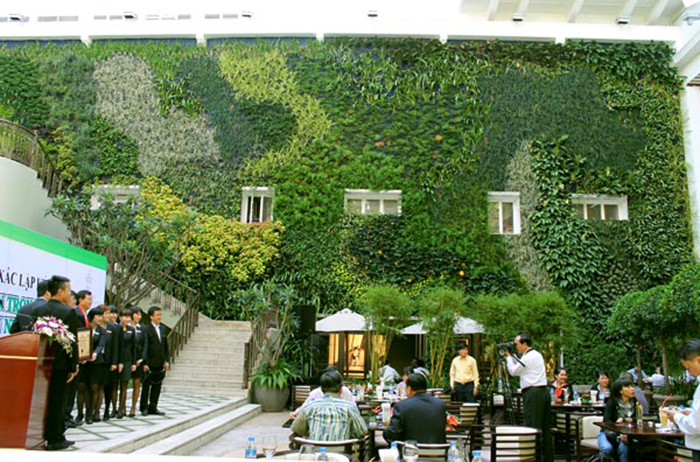 Thi công tường cây lớn nhất Việt Nam- khách sạn rex