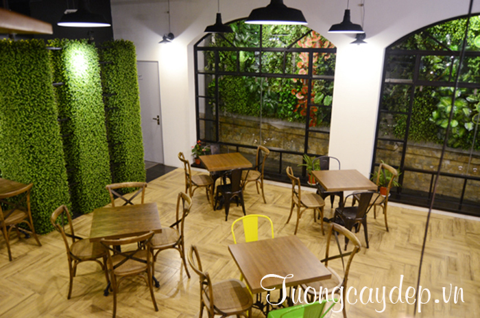 Quán cafe độc đáo với tường cây xanh