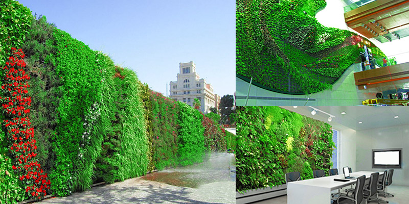 Tường cây, vườn đứng cho không gian đô thị xanh mát