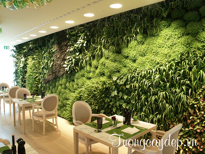 Không gian khách sạn sang trọng với tường cây xanh