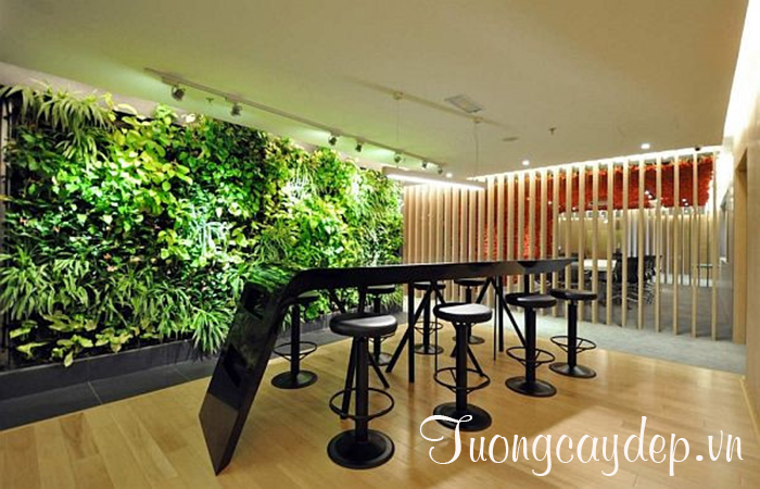 Thiết kế tường cây cho quán cafe - Tuongcaydep.vn