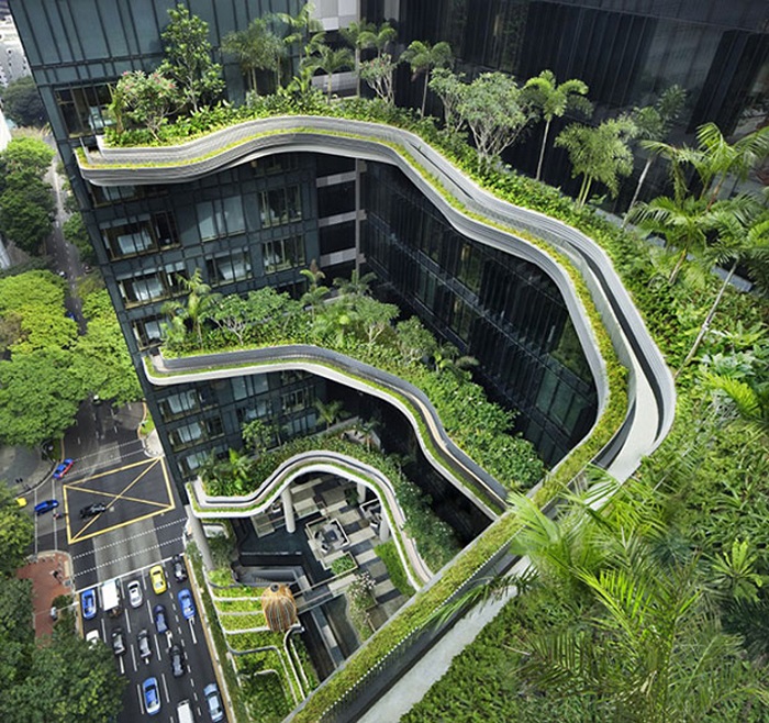 Singgapore là nước đi đầu trong thiết kế tường cây xanh