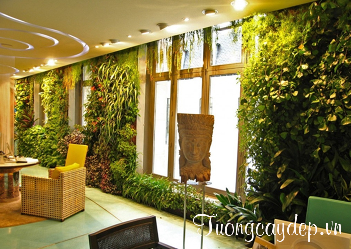 Tuongcaydep.vn chuyên thiết kế tường cây nhà hàng, khách sạn....