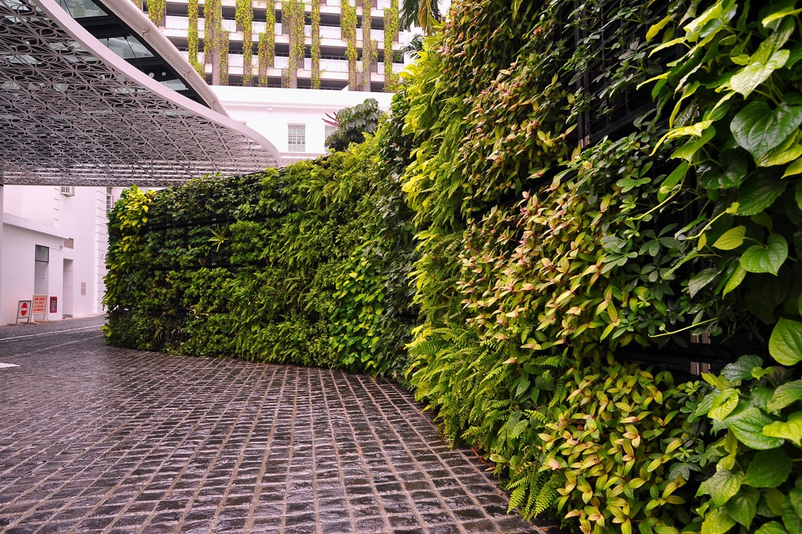 Vườn trên tường cho không gian xanh